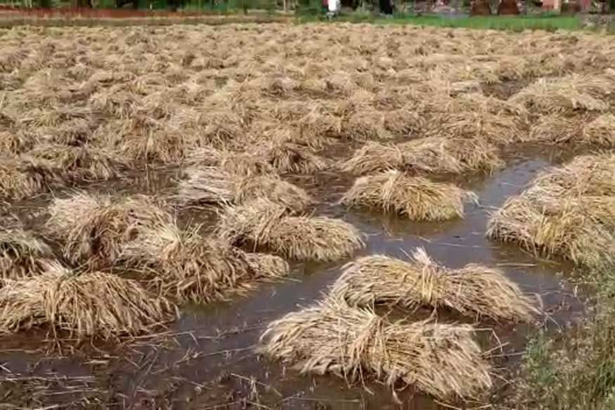 Assam Flood 2026