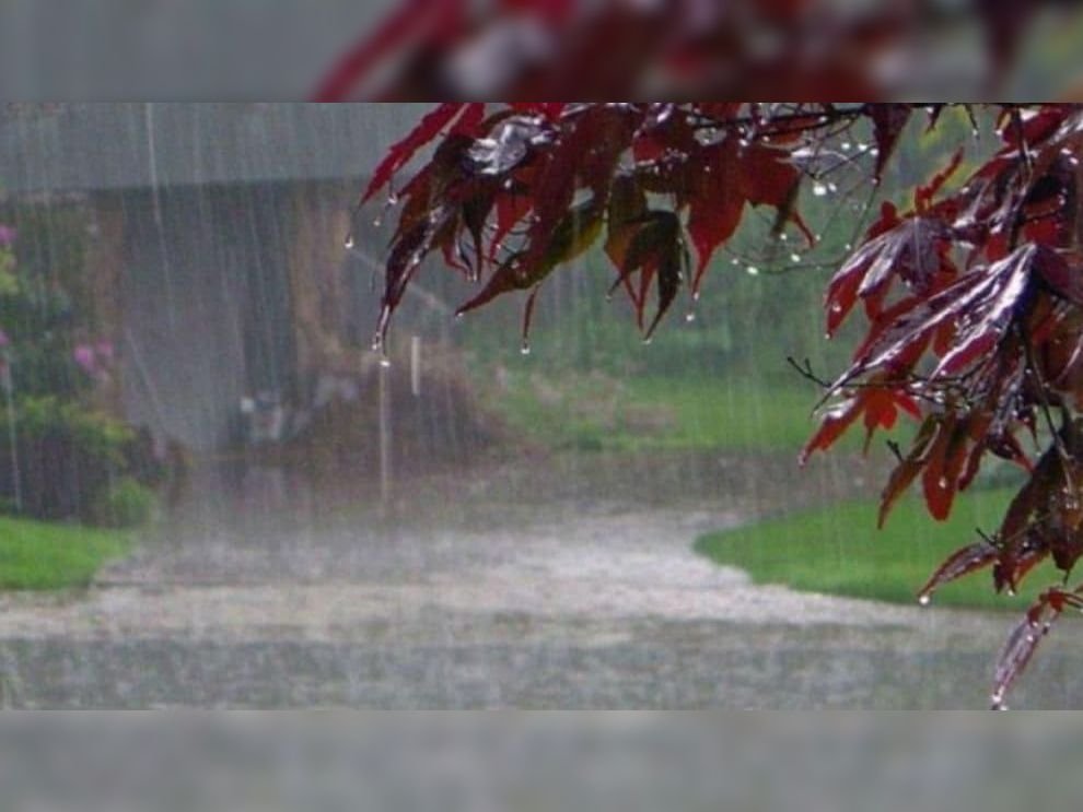 Monsoon Update Today