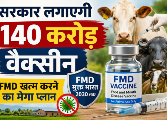 Foot and Mouth Disease