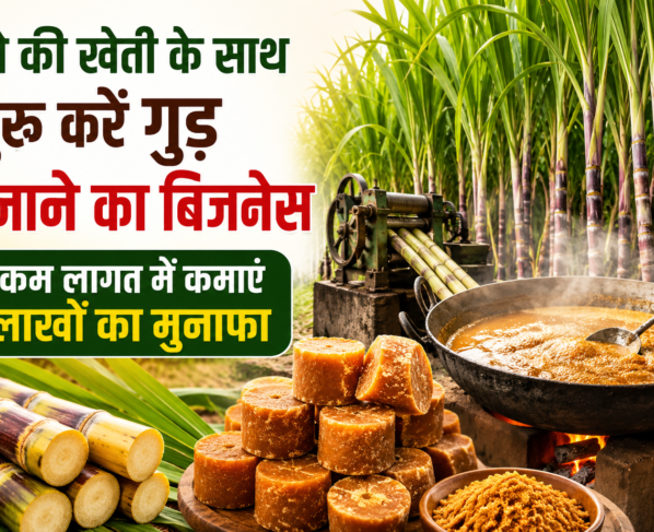 Jaggery Making Business