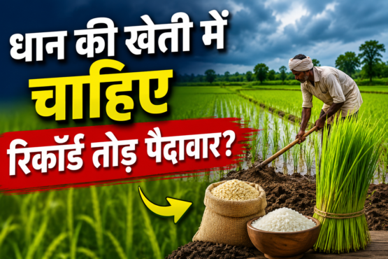 Kharif Crop Preparation