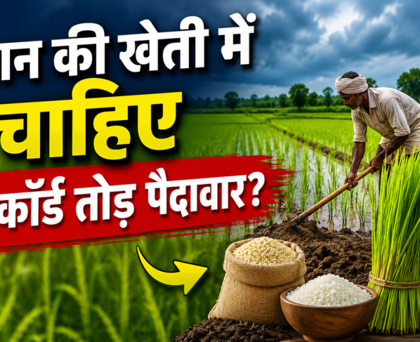 Kharif Crop Preparation