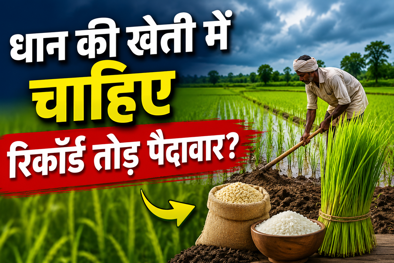 धान की खेती में चाहिए रिकॉर्ड तोड़ पैदावार? Kharif Crop Preparation में भूलकर भी न छोड़ें ये आवश्यक काम