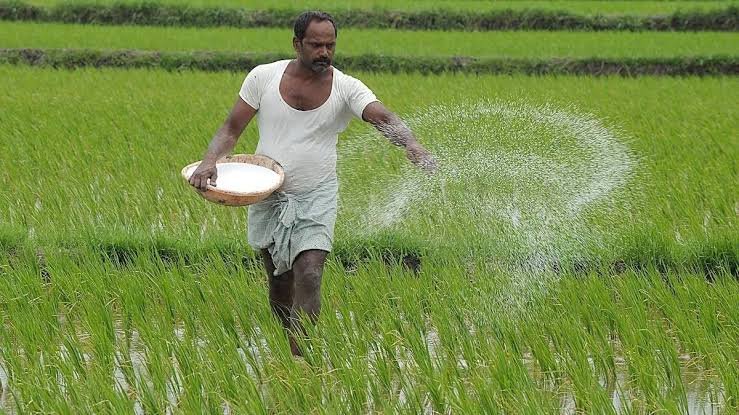 Green Fertilizer Benefits