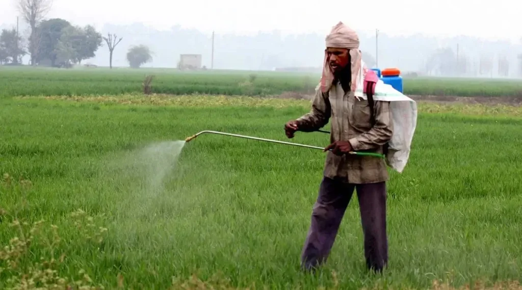 Green Fertilizer Benefits