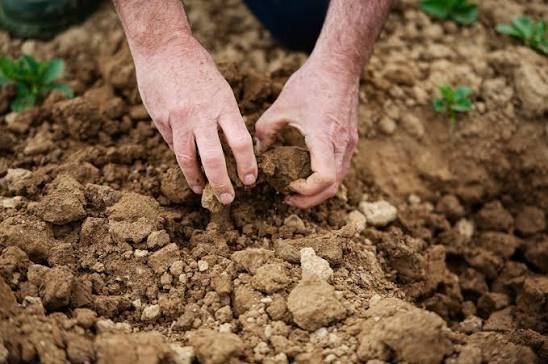 Carbon Farming