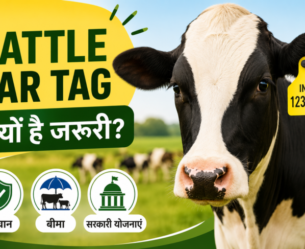 Cattle Ear Tag
