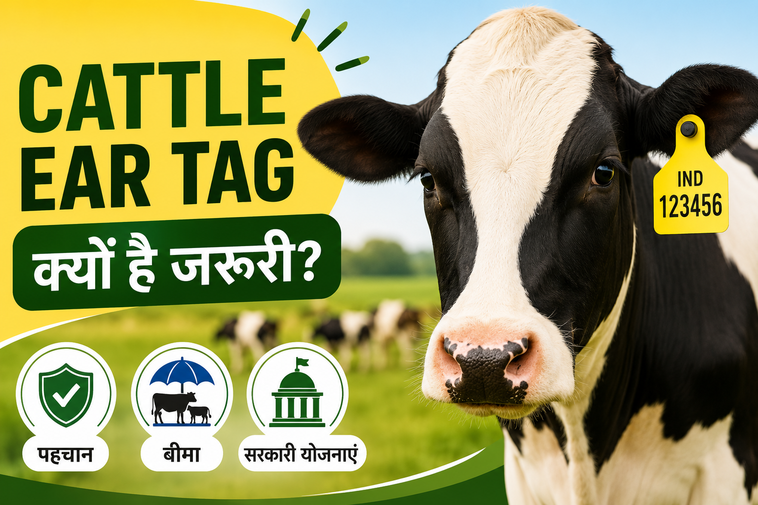 Cattle Ear Tag: ईयर टैग क्यों है हर पशुपालक के लिए जरूरी? जानें पहचान, बीमा और सरकारी योजनाओं के फायदे