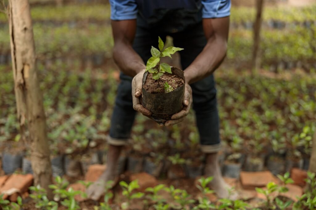 Carbon Farming