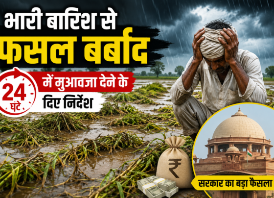 Rain Alert