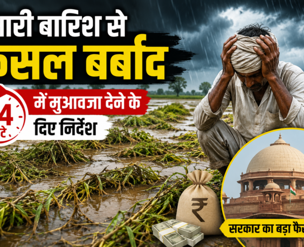 Rain Alert
