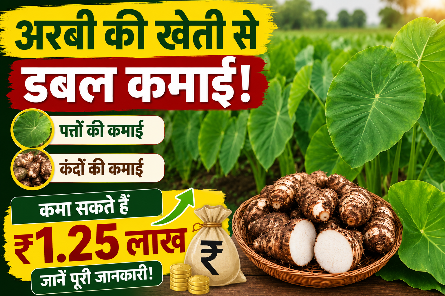 अरबी की खेती से होगी डबल कमाई! पत्तों और कंद बेचकर कमा सकते हैं ₹1.25 लाख, जानें पूरी खेती की जानकारी Arbi Ki Kheti Kaise Kare