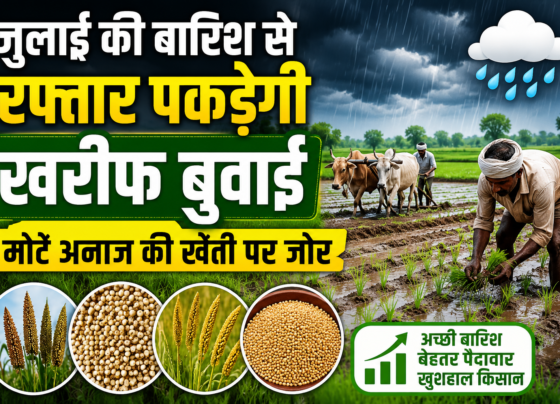 Kharif Sowing