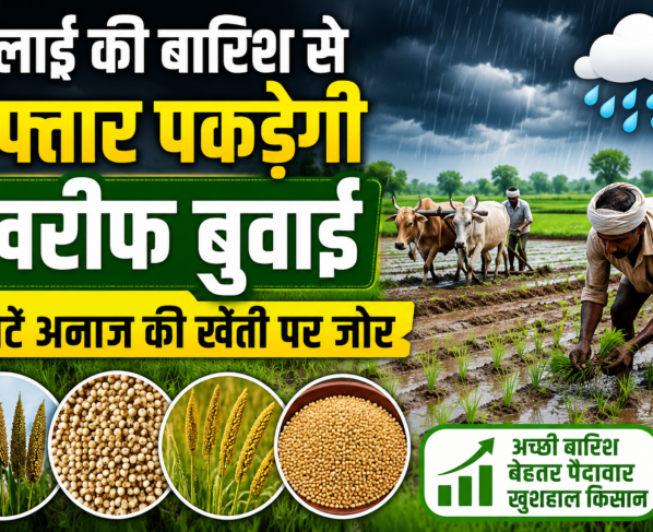 Kharif Sowing