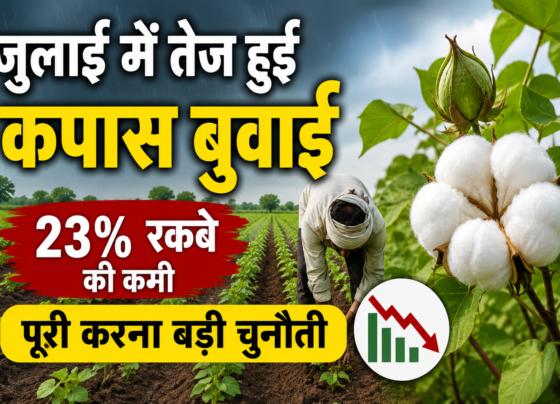 Cotton Sowing Acreage
