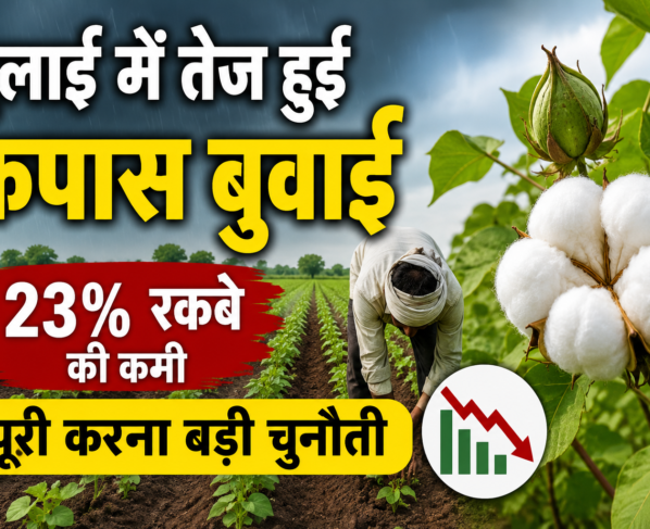 Cotton Sowing Acreage