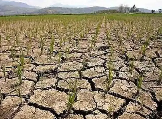 Gujarat Rainfall Deficit