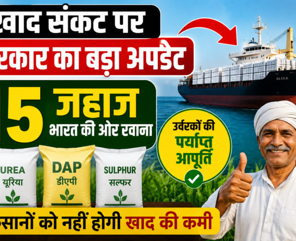 Fertilizer Ships India Supply Cross Strait of Hormuz