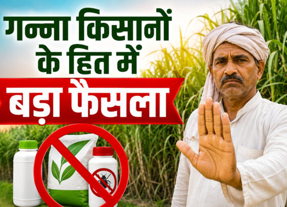 Sugarcane Farmers