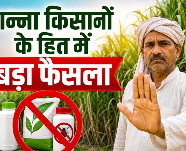 Sugarcane Farmers