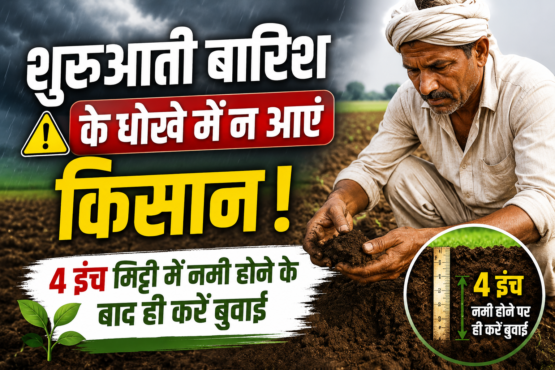 Madhya Pradesh Me Kharif Fasal