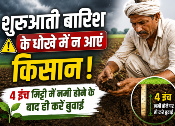Madhya Pradesh Me Kharif Fasal