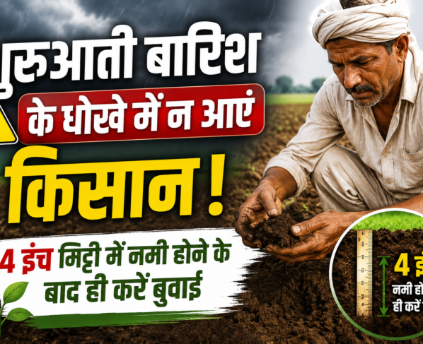 Madhya Pradesh Me Kharif Fasal