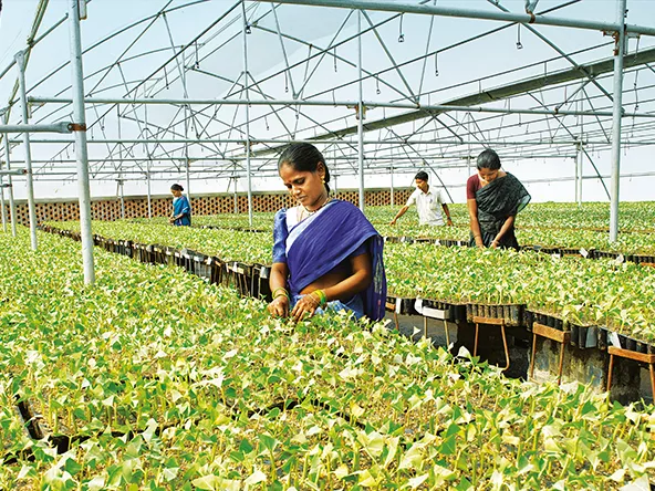 Climate Smart Farming