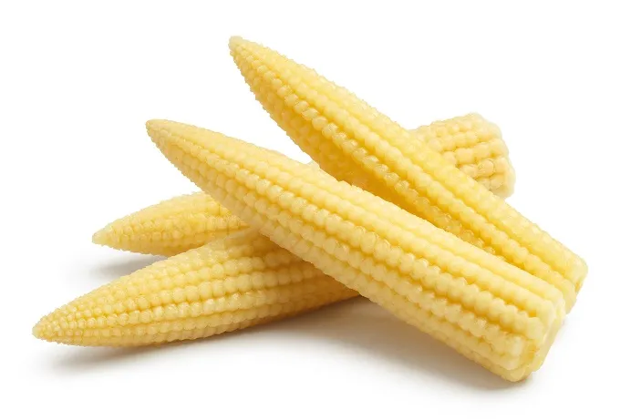Baby Corn Farming