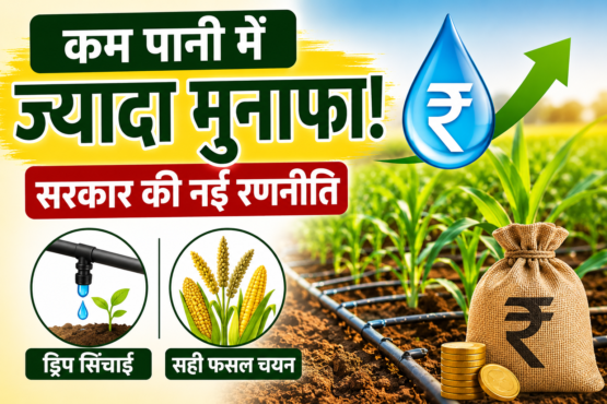 Low Water Farming Tips for MP Farmers