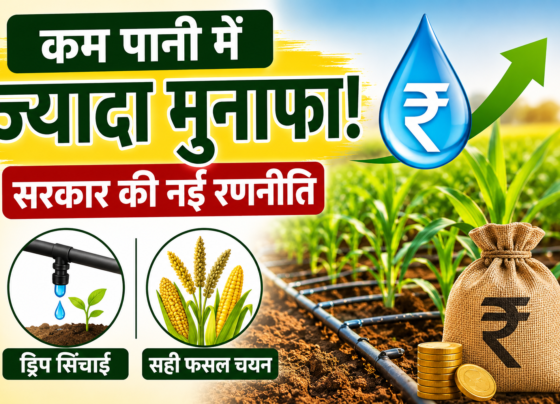 Low Water Farming Tips for MP Farmers