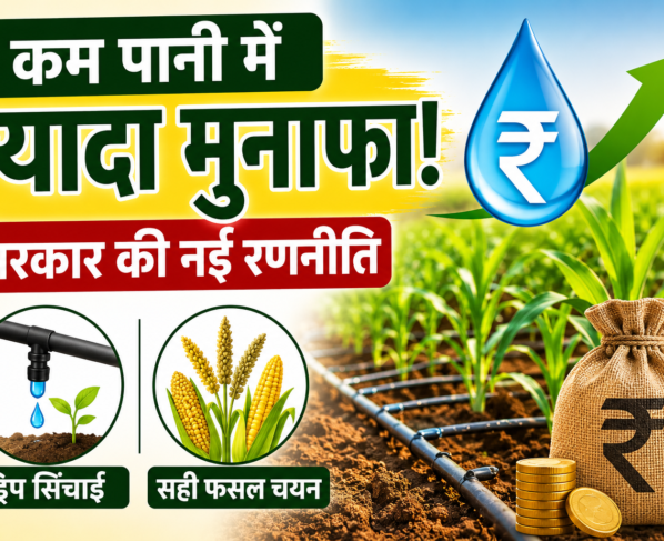 Low Water Farming Tips for MP Farmers