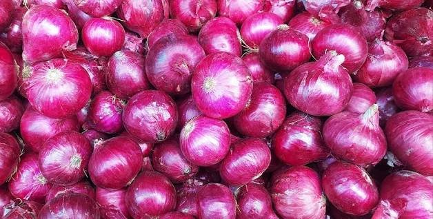 Onion Price