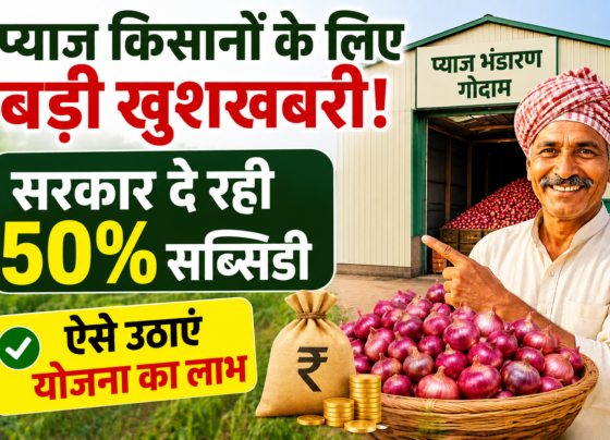 Onion Storage Scheme