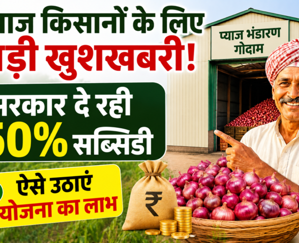 Onion Storage Scheme
