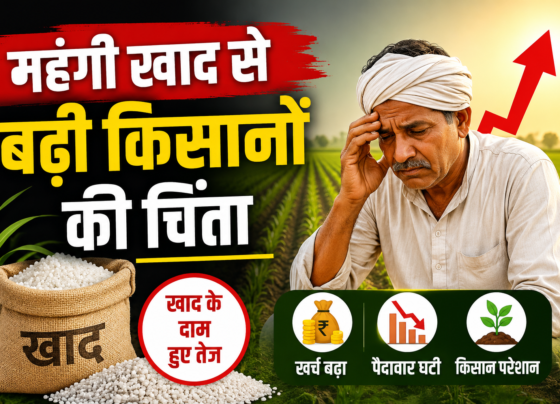 Fertilizer Price Hike