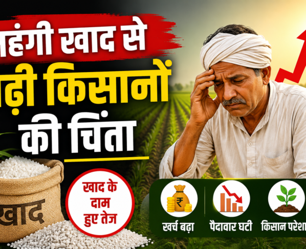 Fertilizer Price Hike
