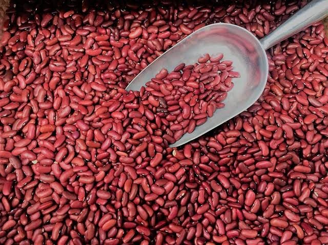 Rajma Farming