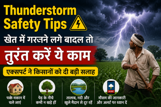 Thunderstorm Safety Tips