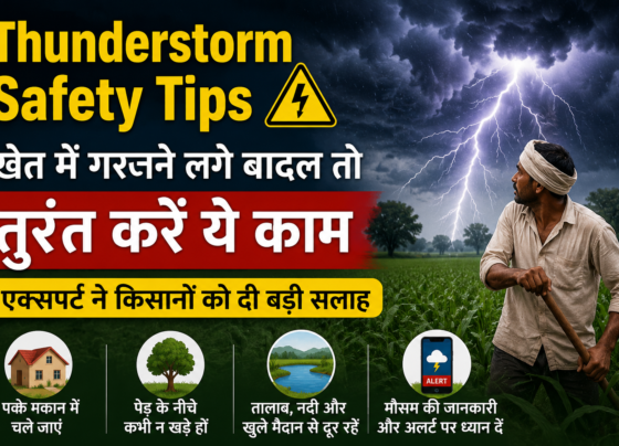 Thunderstorm Safety Tips