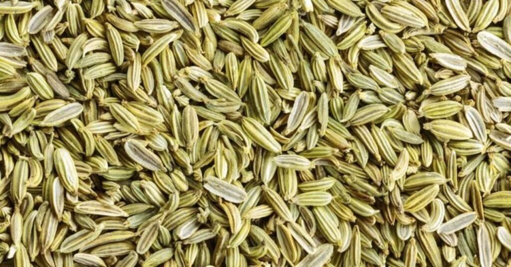 Fennel Farming