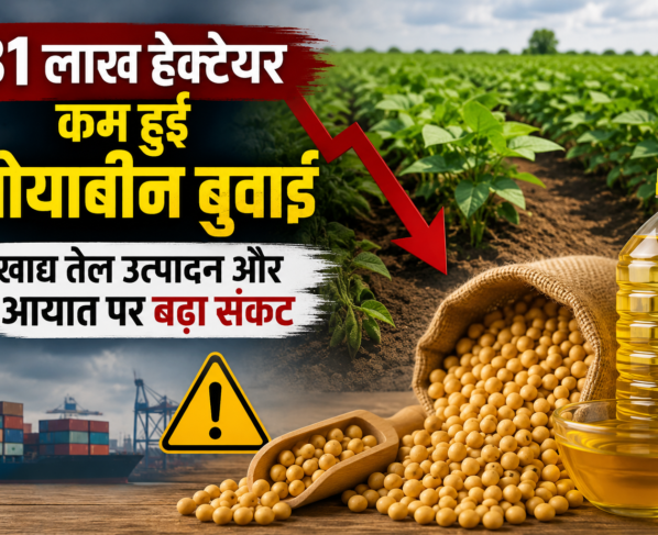 Soyabin Farming