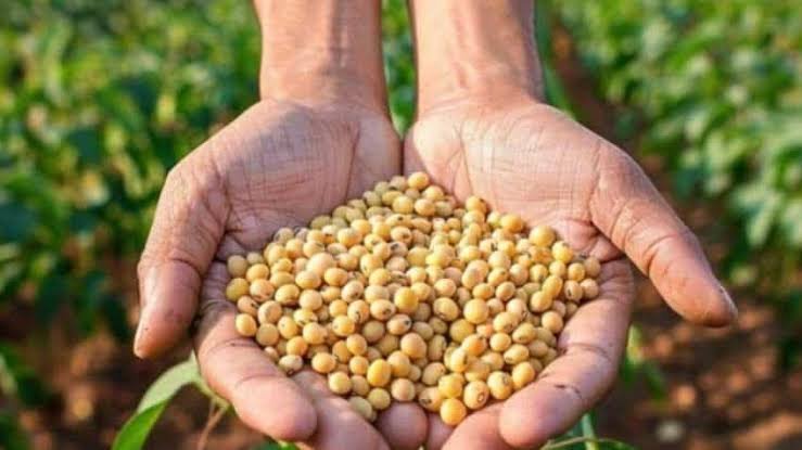  Soybean Production