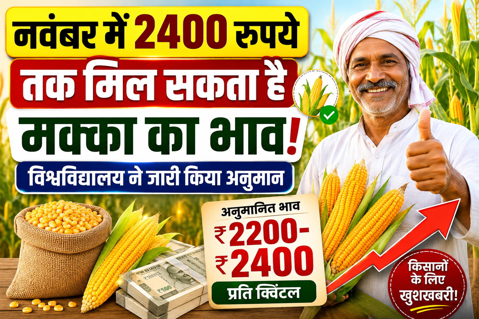 Maize Price Forecast: नवंबर में 2400 रुपये तक मिल सकता है मक्का का भाव, TNAU का अनुमान