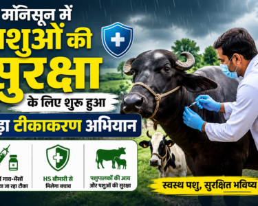 Punjab Tikakaran