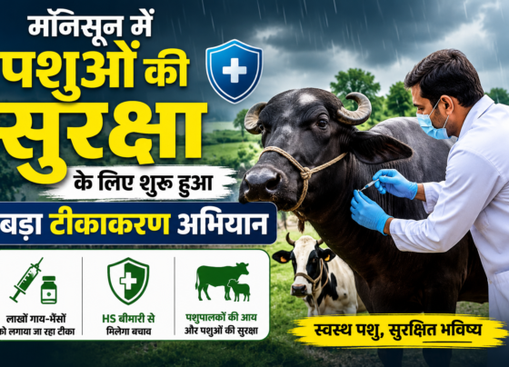 Punjab Tikakaran