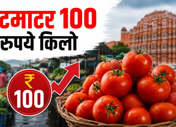 Tomato Price Hike