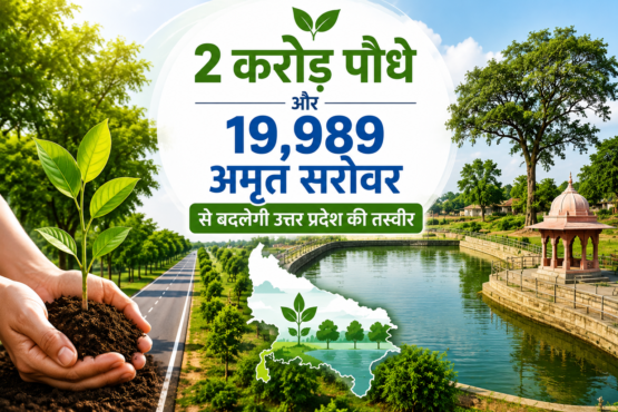 Plant Amrit Sarovar