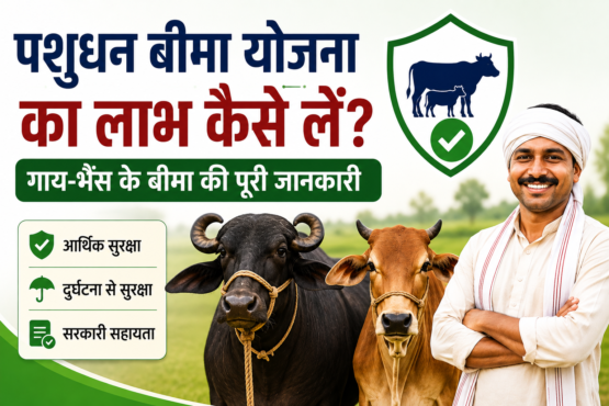Pashudhan Bima Yojana Ka Labh Kaise Le?