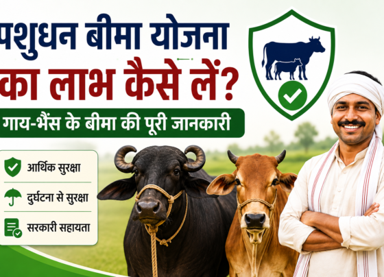 Pashudhan Bima Yojana Ka Labh Kaise Le?